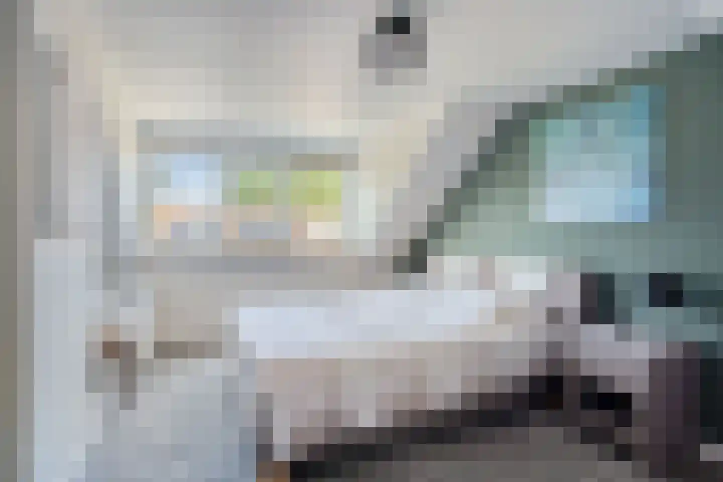 Kastanjelaan 6 Alkmaar thumbnail 18