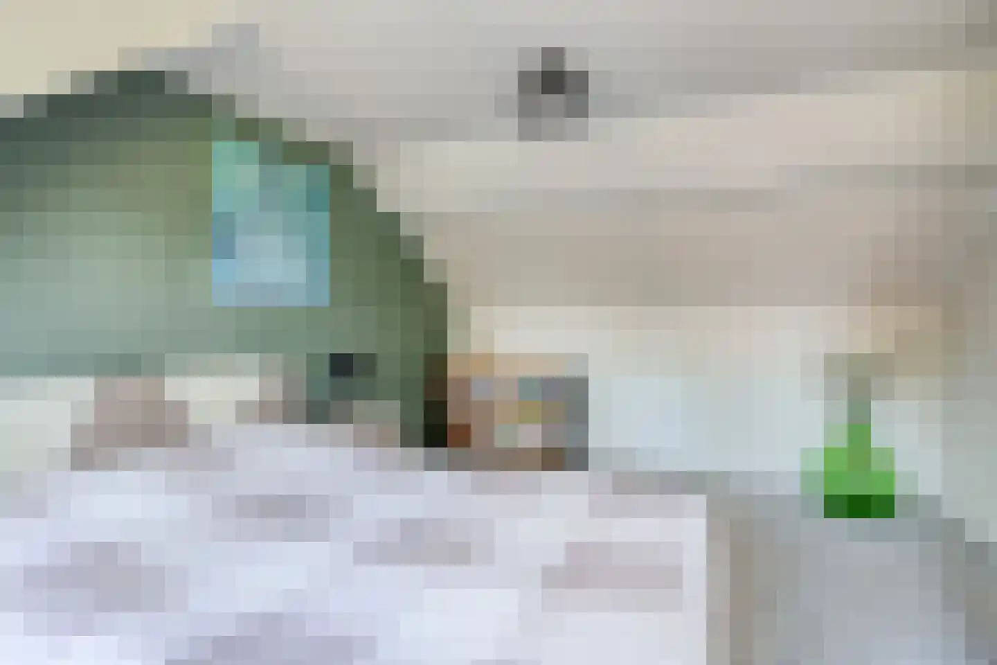 Kastanjelaan 6 Alkmaar thumbnail 19