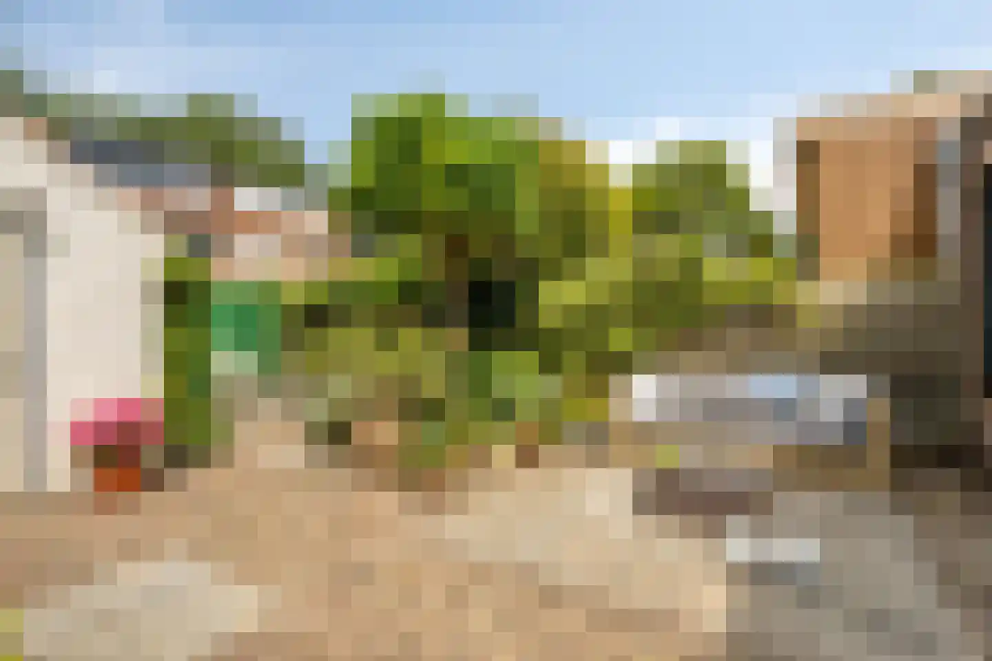 Kastanjelaan 6 Alkmaar thumbnail 21