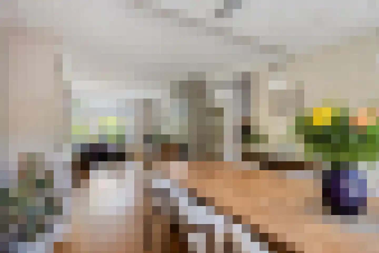 Kastanjelaan 6 Alkmaar thumbnail 6