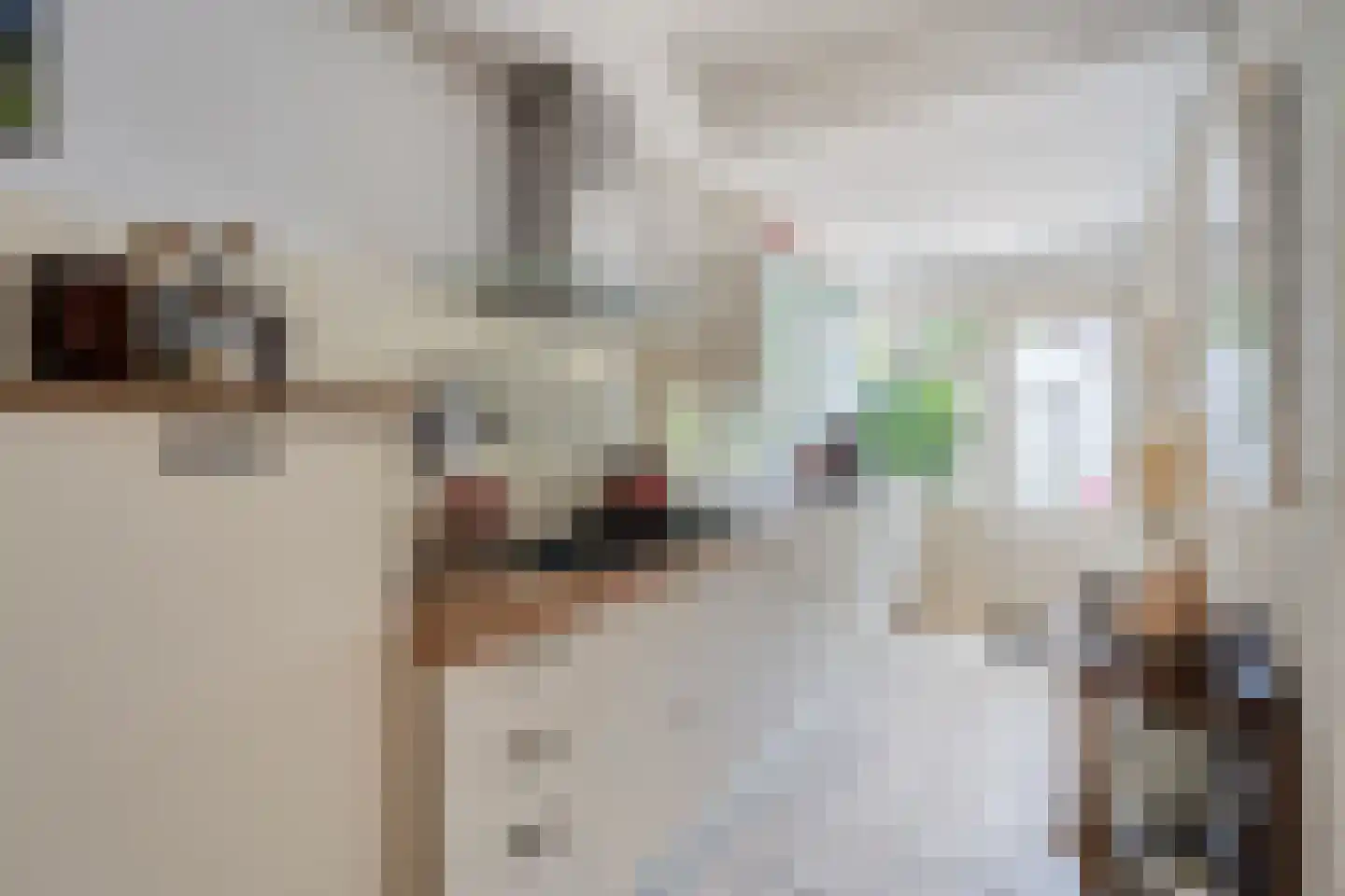 Kastanjelaan 6 Alkmaar thumbnail 7