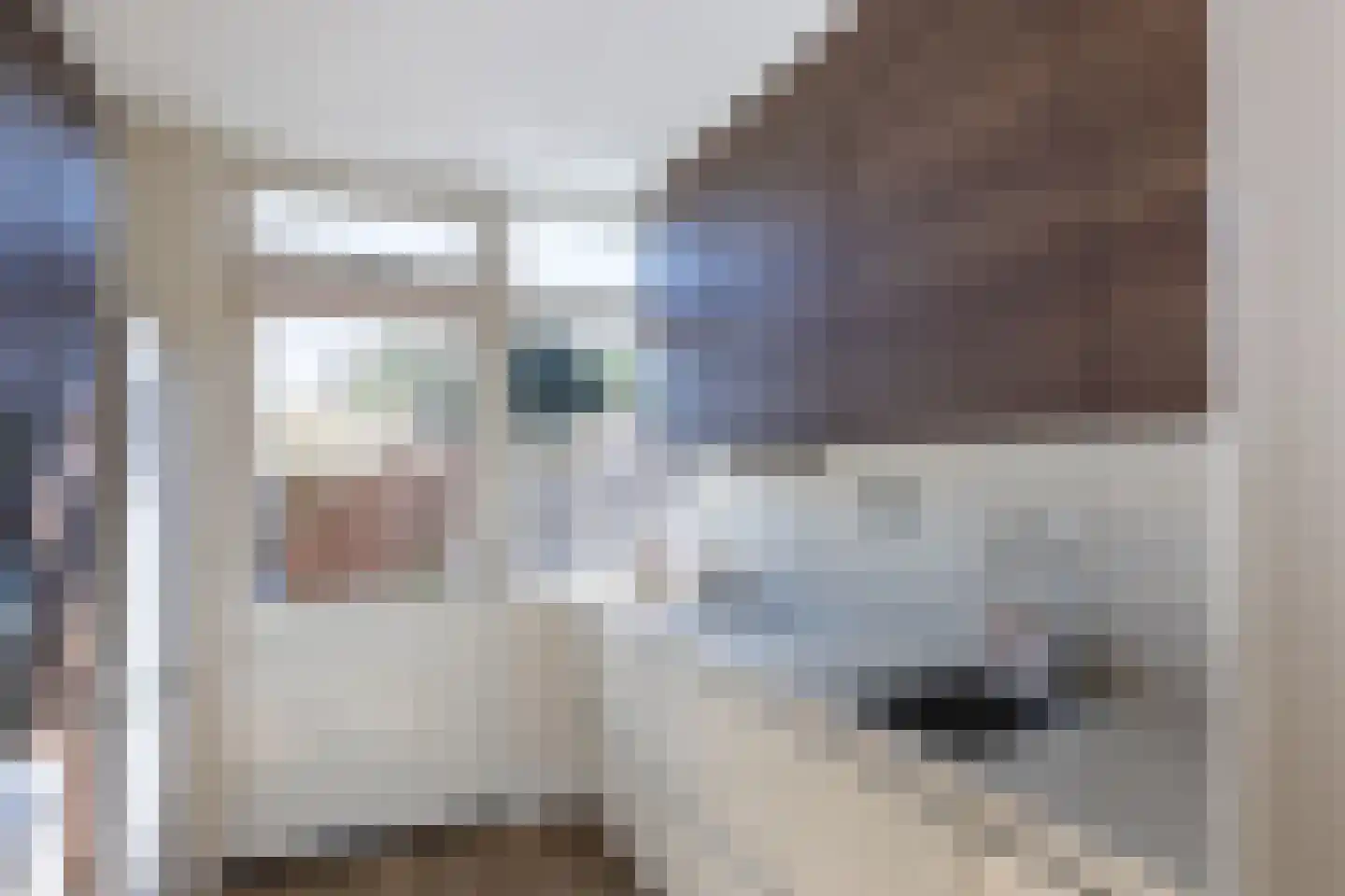 Kastanjelaan 6 Bergen op Zoom thumbnail 13