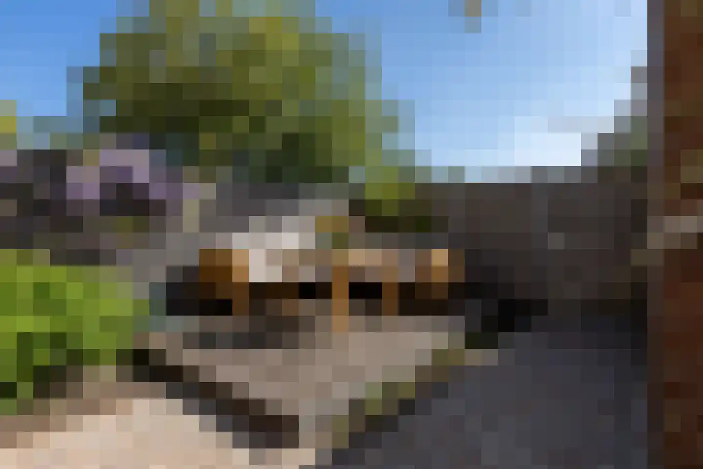 Kastanjelaan 6 Bergen op Zoom thumbnail 28