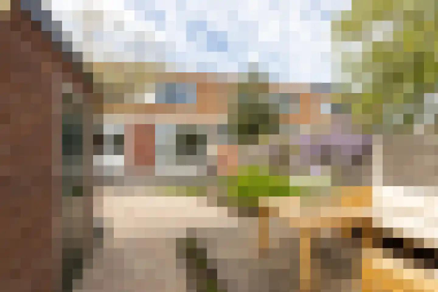 Kastanjelaan 6 Bergen op Zoom thumbnail 30