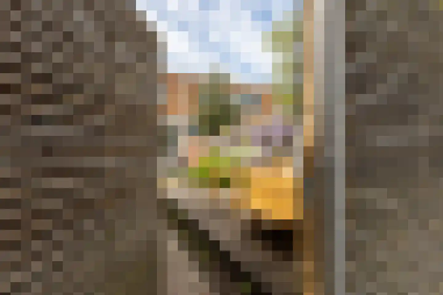Kastanjelaan 6 Bergen op Zoom thumbnail 33