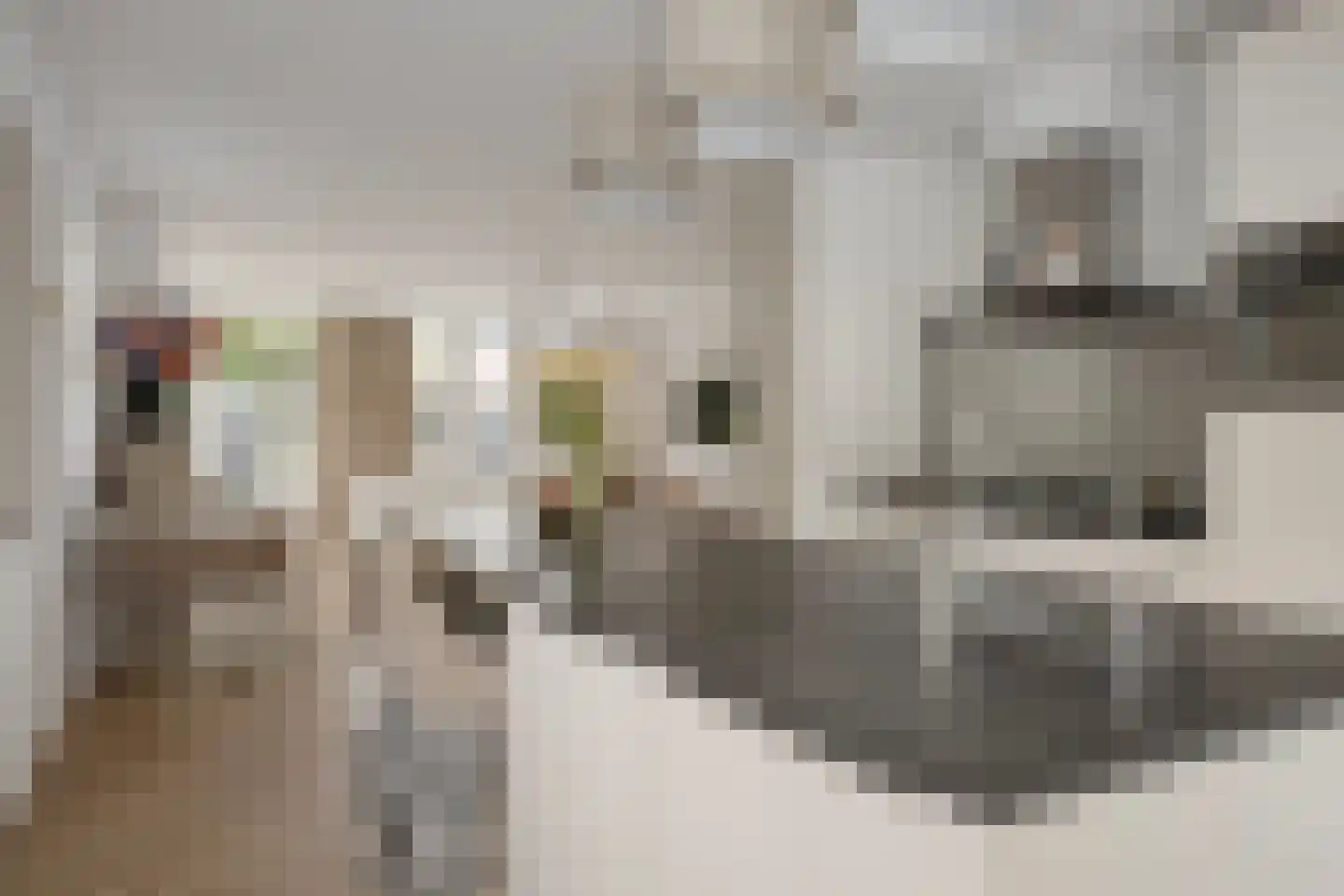 Kastanjelaan 6 Leimuiden thumbnail 9
