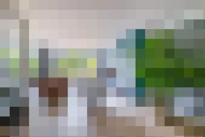 Kastanjelaan 65 Bleiswijk thumbnail 13