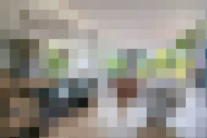 Kastanjelaan 65 Bleiswijk thumbnail 14