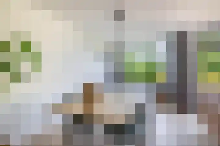 Kastanjelaan 65 Bleiswijk thumbnail 20