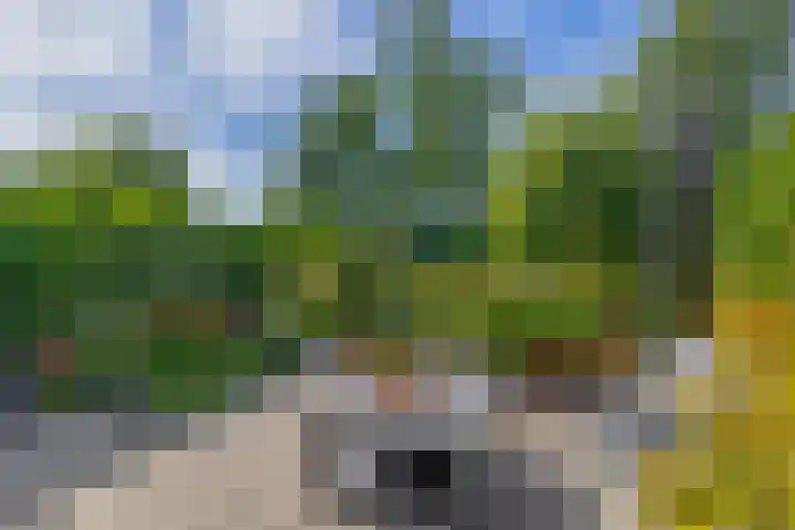Kastanjelaan 65 Bleiswijk thumbnail 26