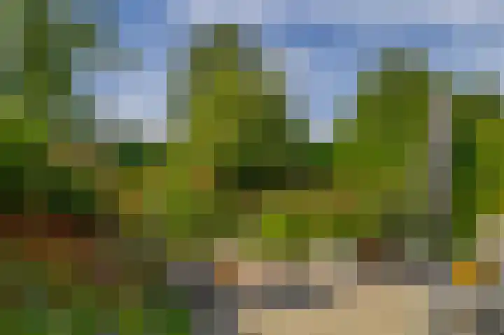Kastanjelaan 65 Bleiswijk thumbnail 27