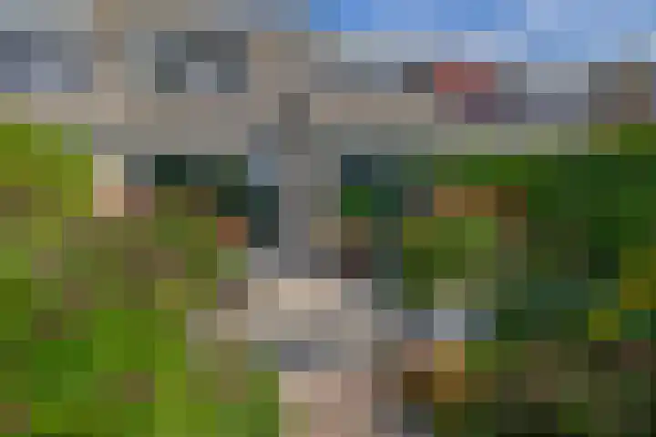 Kastanjelaan 65 Bleiswijk thumbnail 28