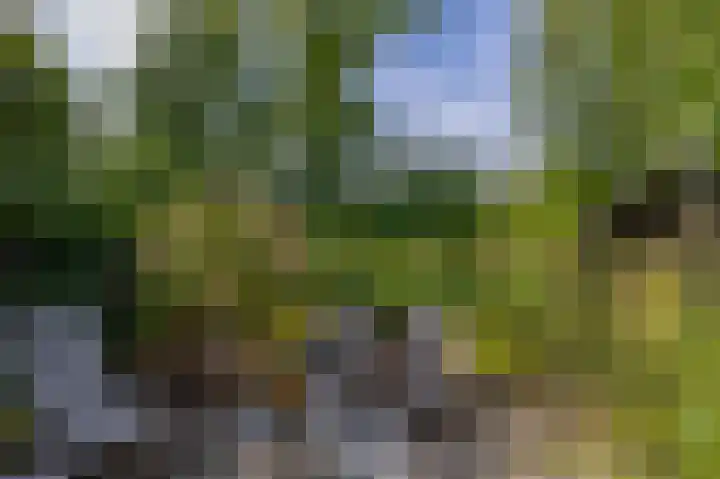 Kastanjelaan 65 Bleiswijk thumbnail 30