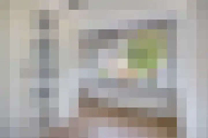 Kastanjelaan 65 Bleiswijk thumbnail 32