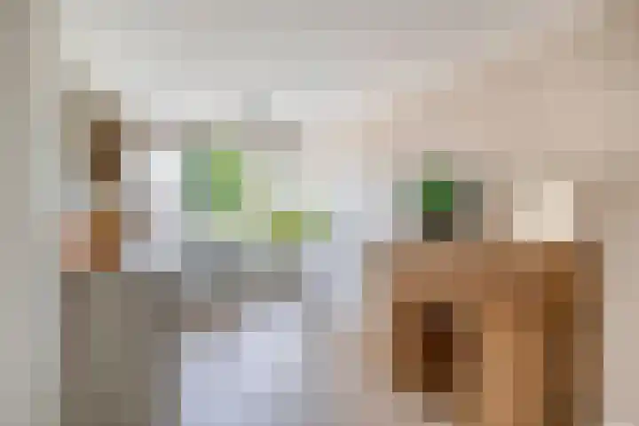 Kastanjelaan 65 Bleiswijk thumbnail 35