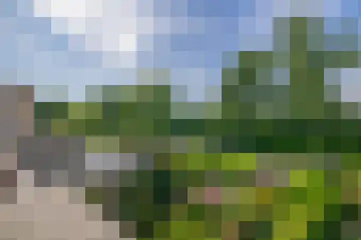 Kastanjelaan 65 Bleiswijk thumbnail 42