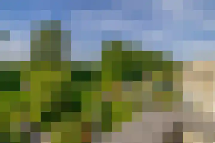 Kastanjelaan 65 Bleiswijk thumbnail 43