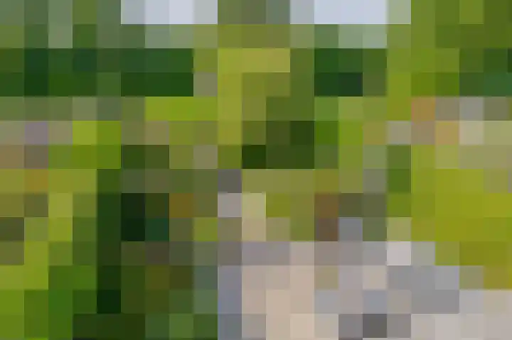 Kastanjelaan 65 Bleiswijk thumbnail 44