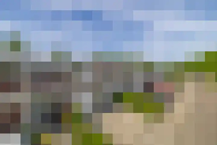 Kastanjelaan 65 Bleiswijk thumbnail 5