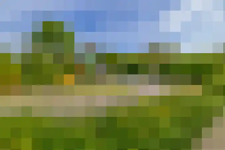 Kastanjelaan 65 Bleiswijk thumbnail 51