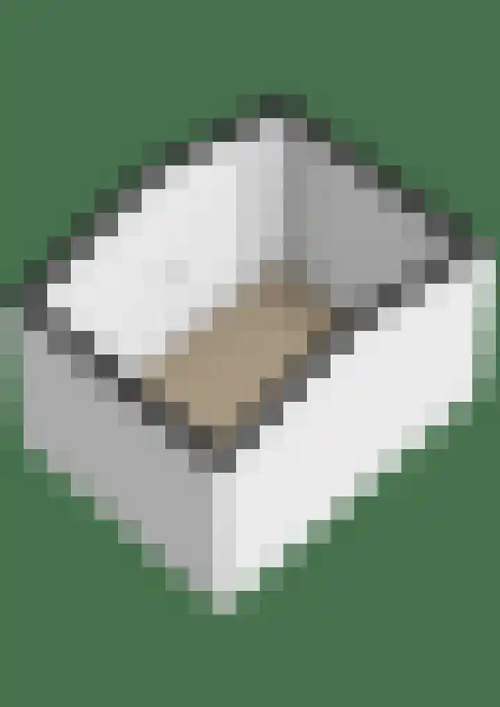 Kastanjelaan 65 Bleiswijk thumbnail 55