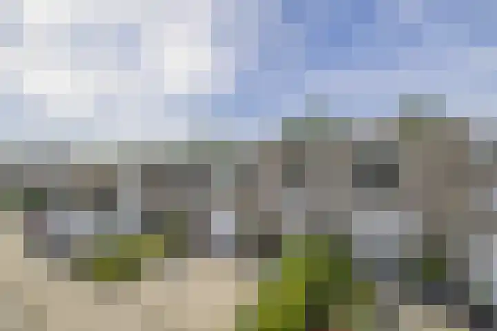 Kastanjelaan 65 Bleiswijk thumbnail 7