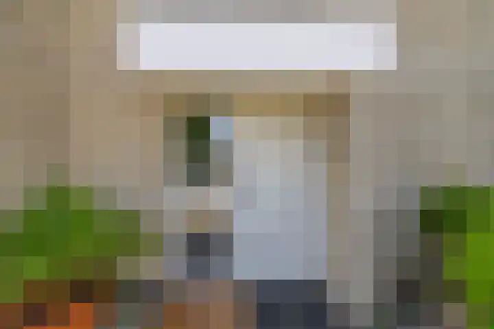 Kastanjelaan 65 Bleiswijk thumbnail 9