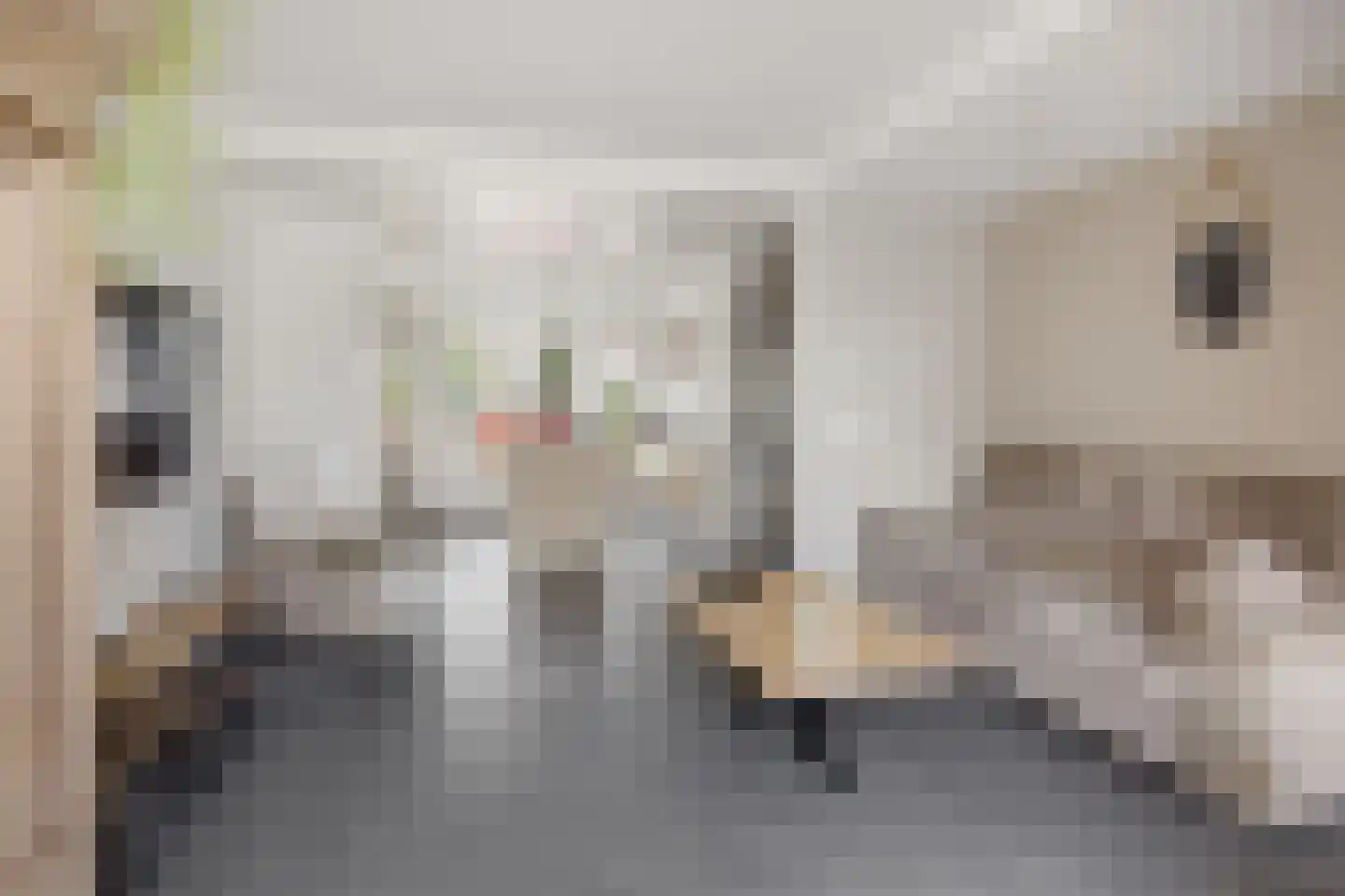 Kastanjelaan 65 Zwanenburg thumbnail 10