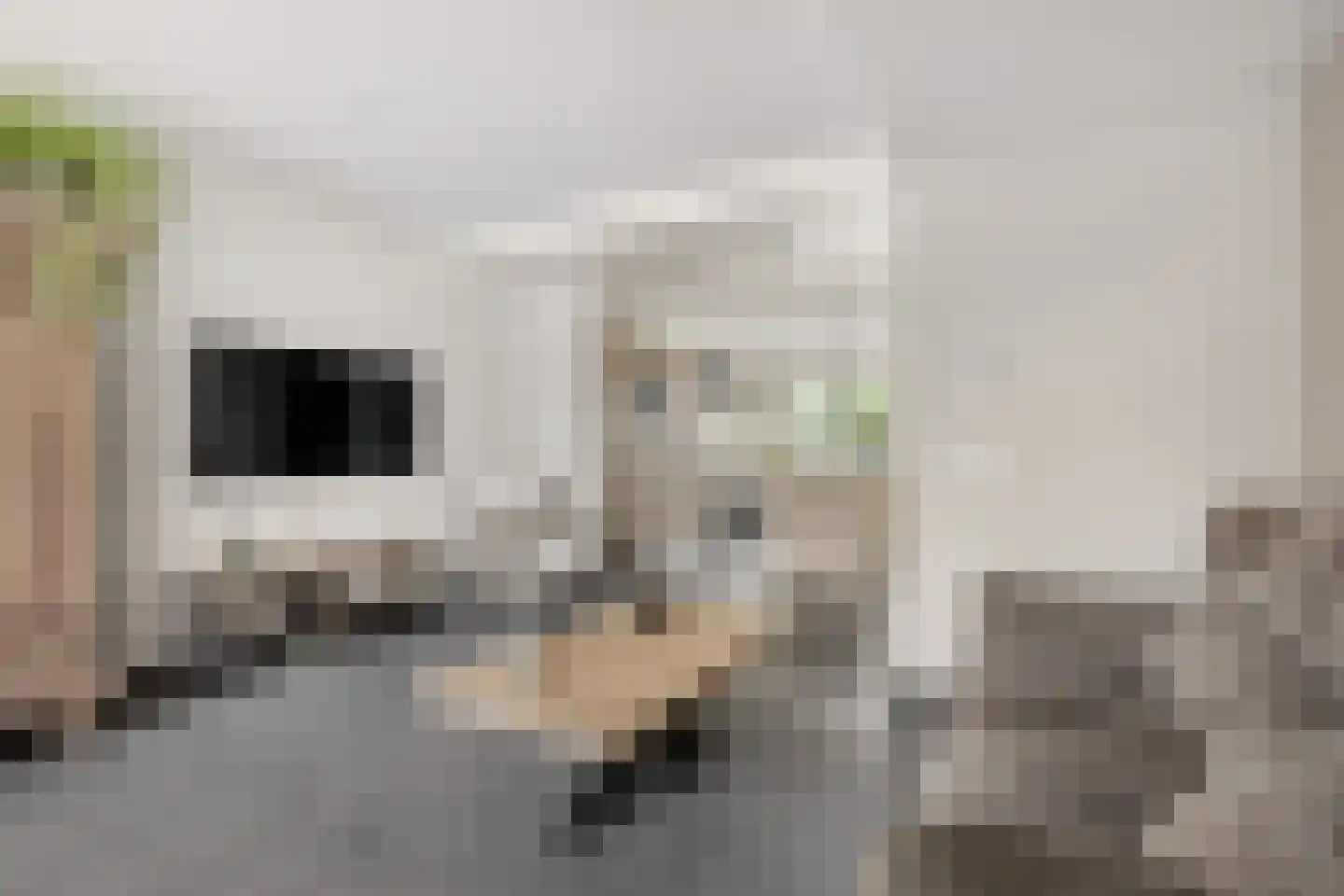 Kastanjelaan 65 Zwanenburg thumbnail 11