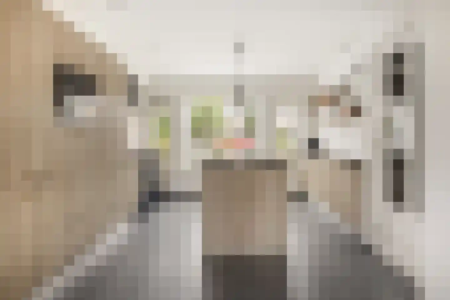 Kastanjelaan 65 Zwanenburg thumbnail 12