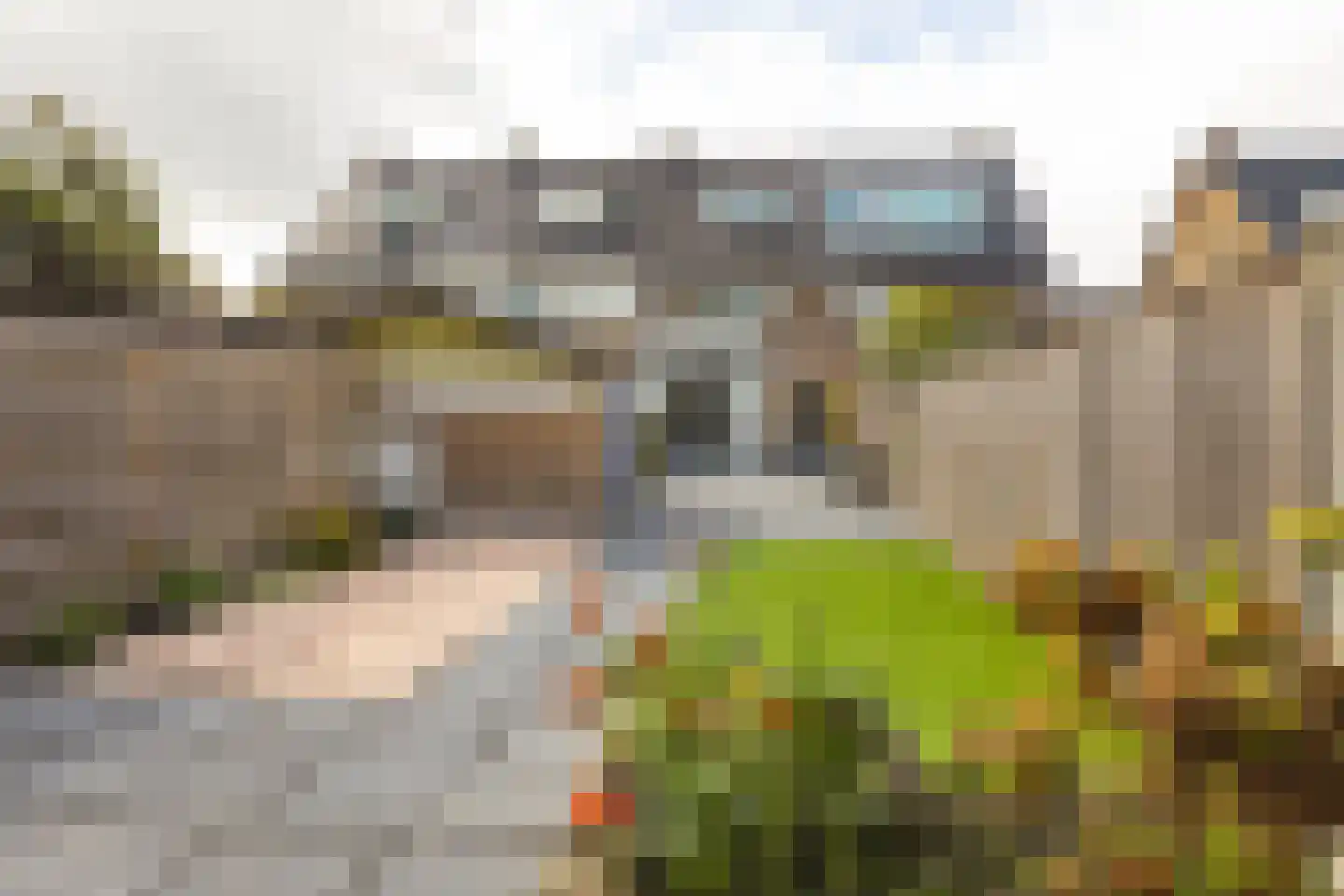 Kastanjelaan 65 Zwanenburg thumbnail 17