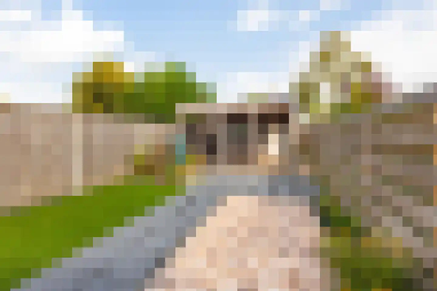 Kastanjelaan 65 Zwanenburg thumbnail 20