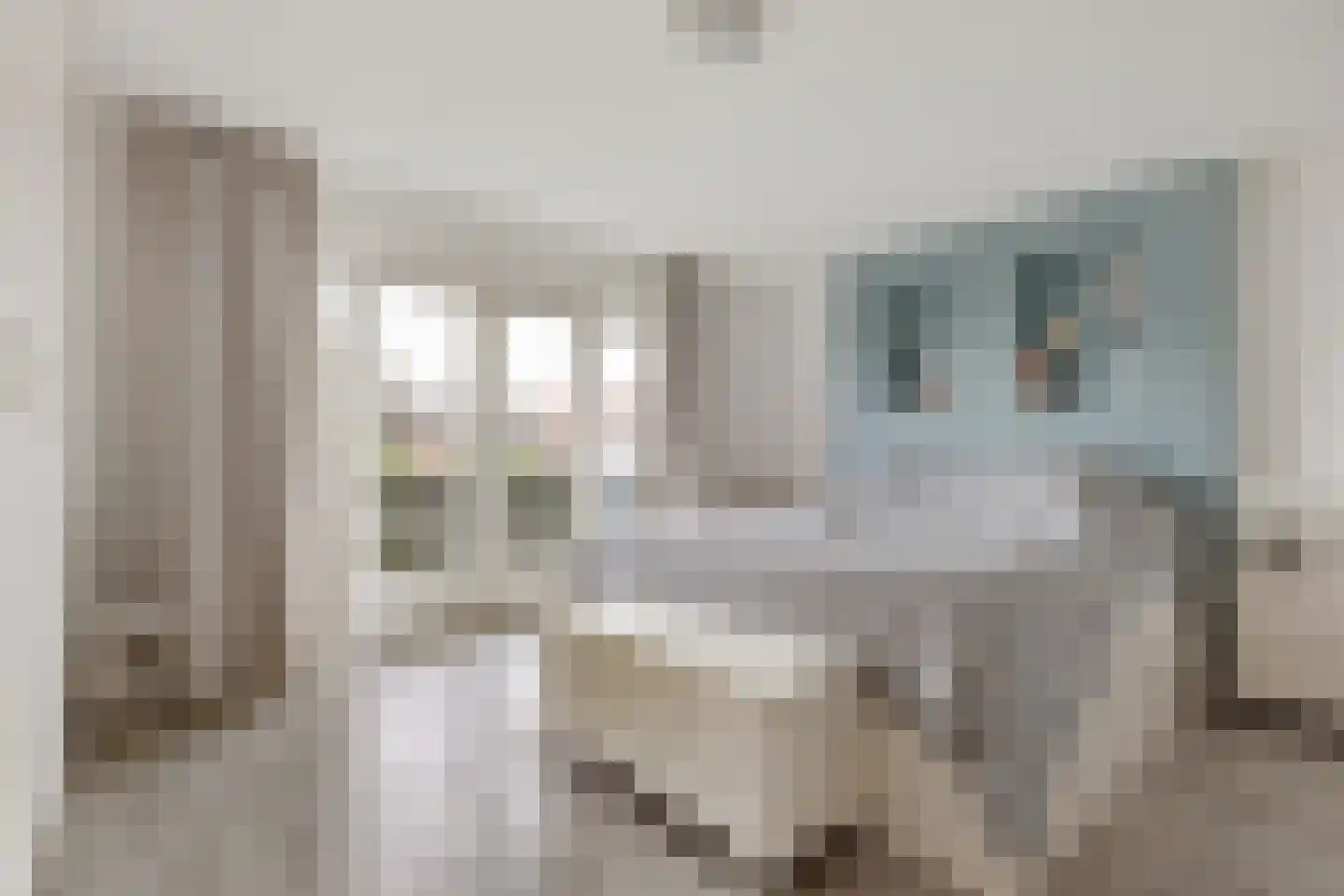 Kastanjelaan 65 Zwanenburg thumbnail 21