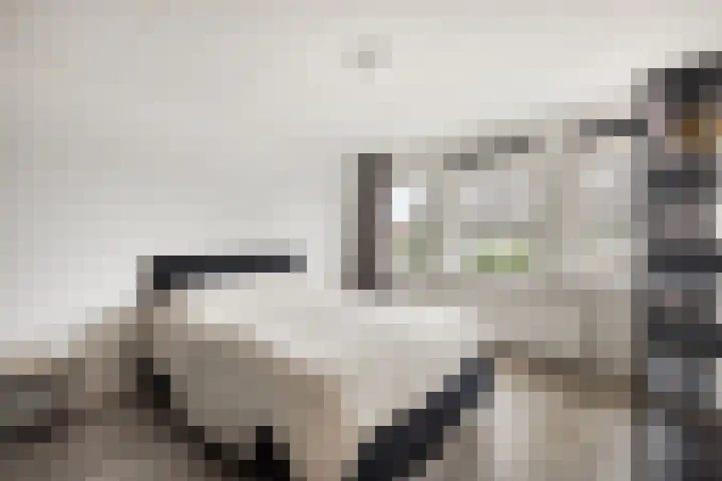 Kastanjelaan 65 Zwanenburg thumbnail 24
