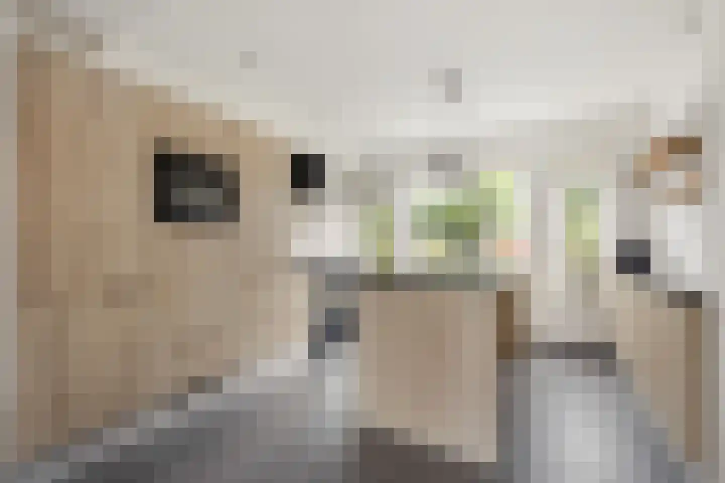 Kastanjelaan 65 Zwanenburg thumbnail 5