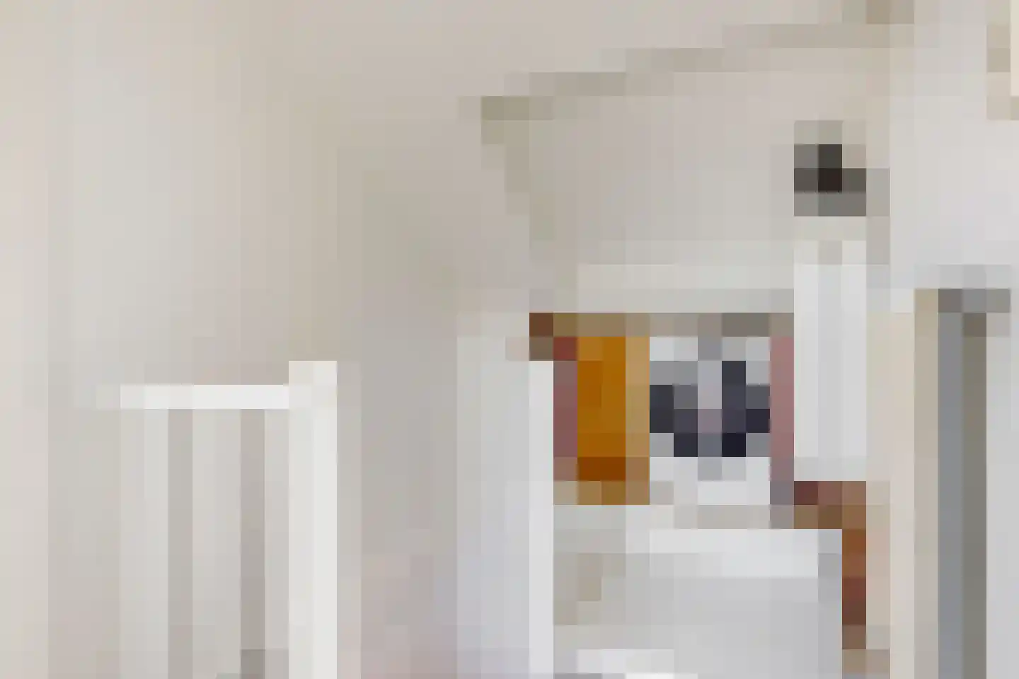 Kastanjelaan 69 Driebruggen thumbnail 22