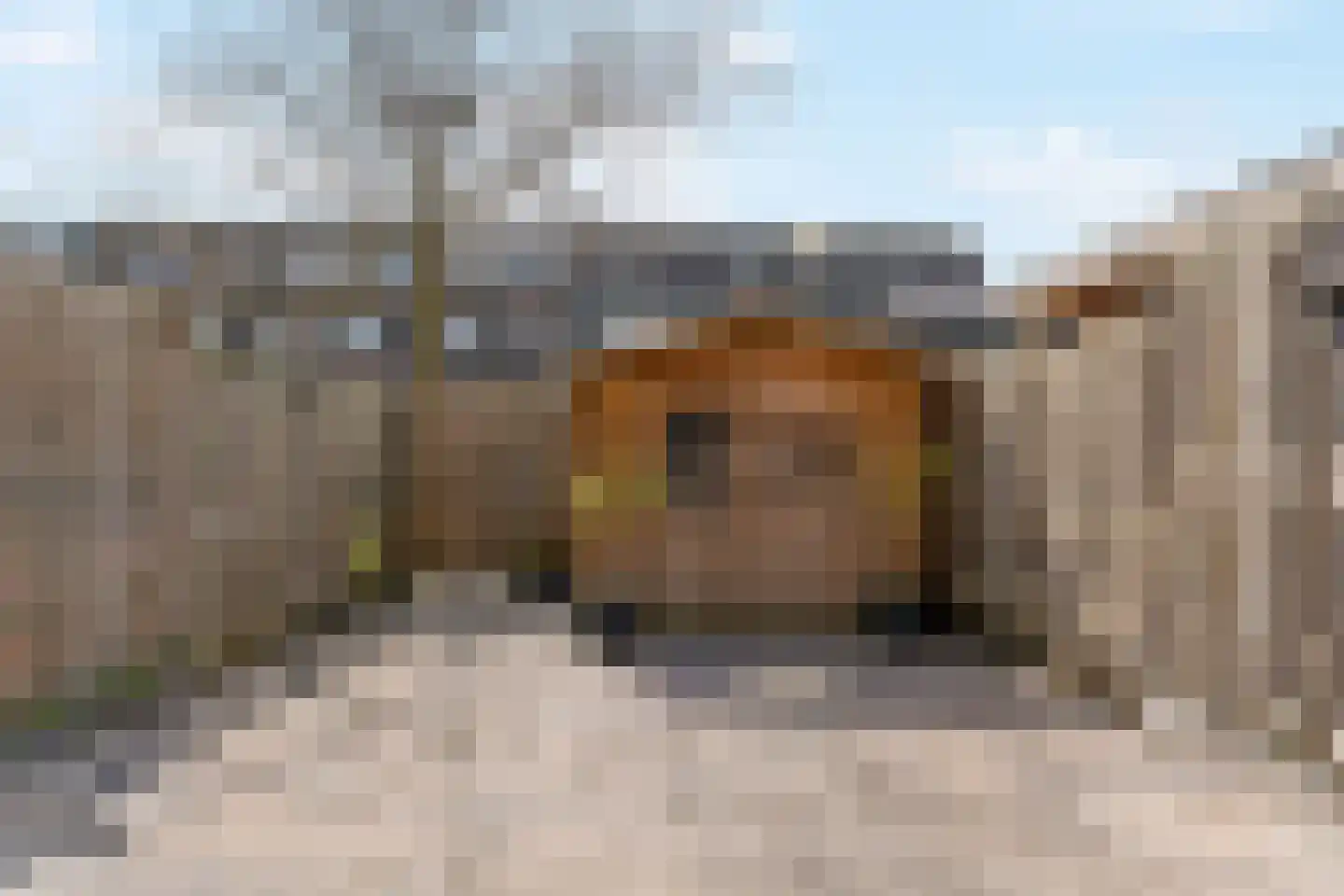 Kastanjelaan 69 Driebruggen thumbnail 27