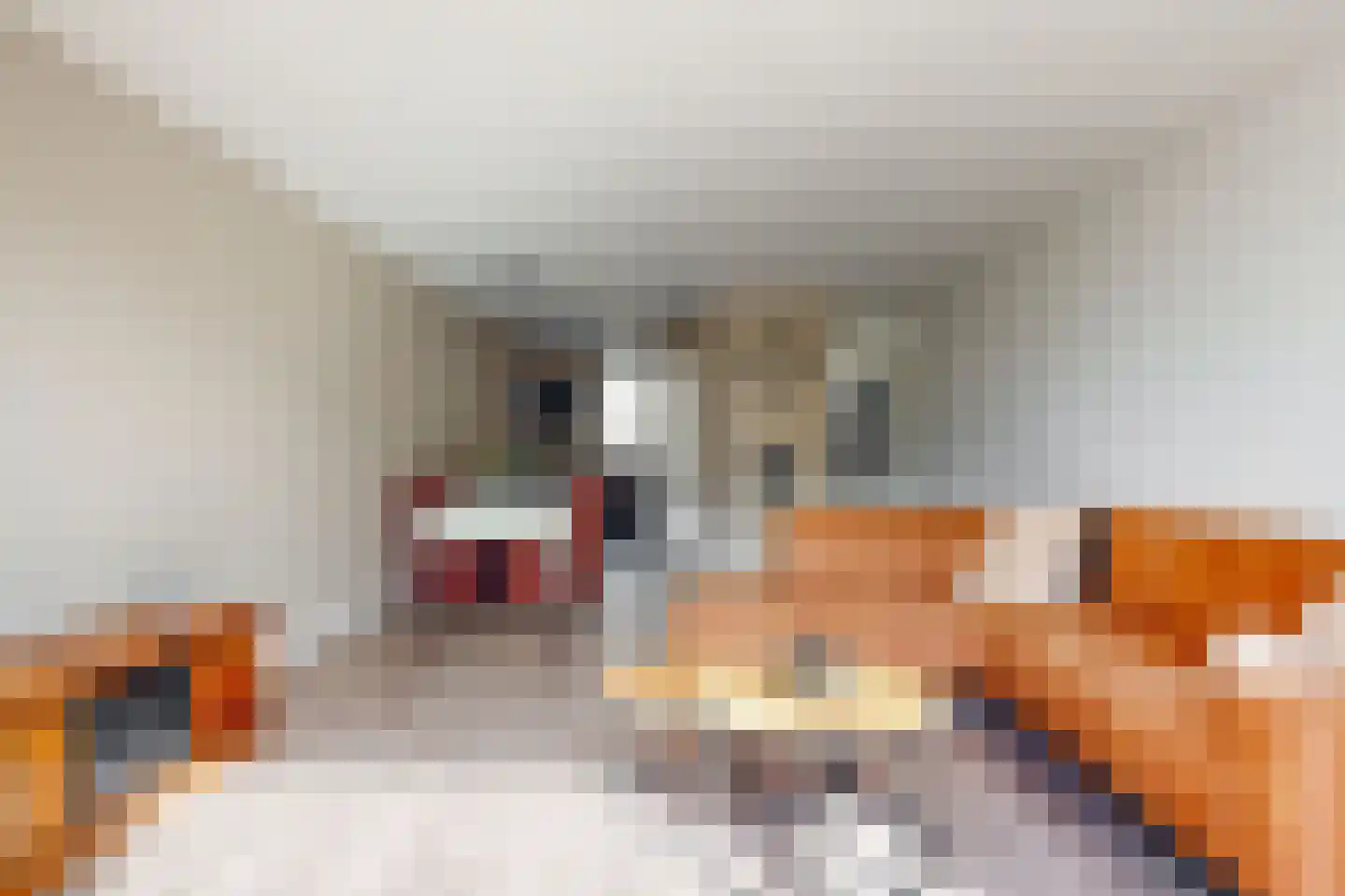 Kastanjelaan 69 Driebruggen thumbnail 7