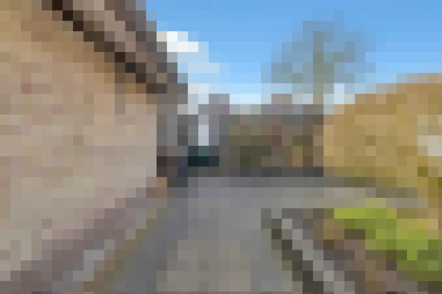 Kastanjelaan 7 A Zuid-Scharwoude thumbnail 46