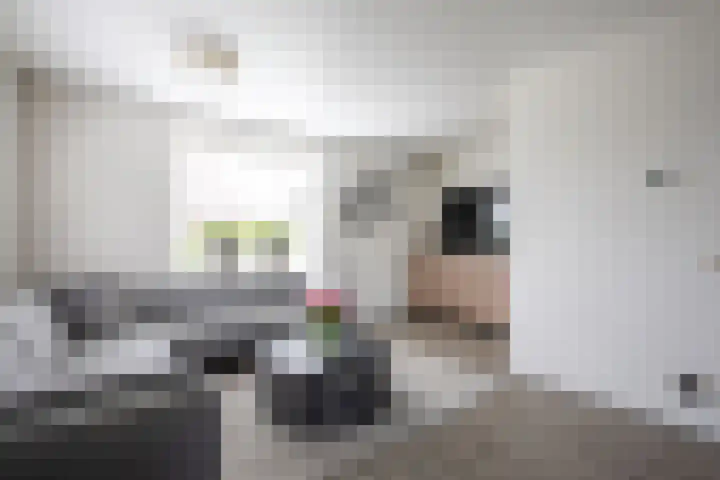 Kastanjelaan 7 Aalsmeer thumbnail 11