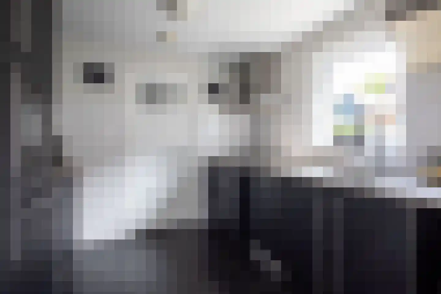 Kastanjelaan 7 Aalsmeer thumbnail 14