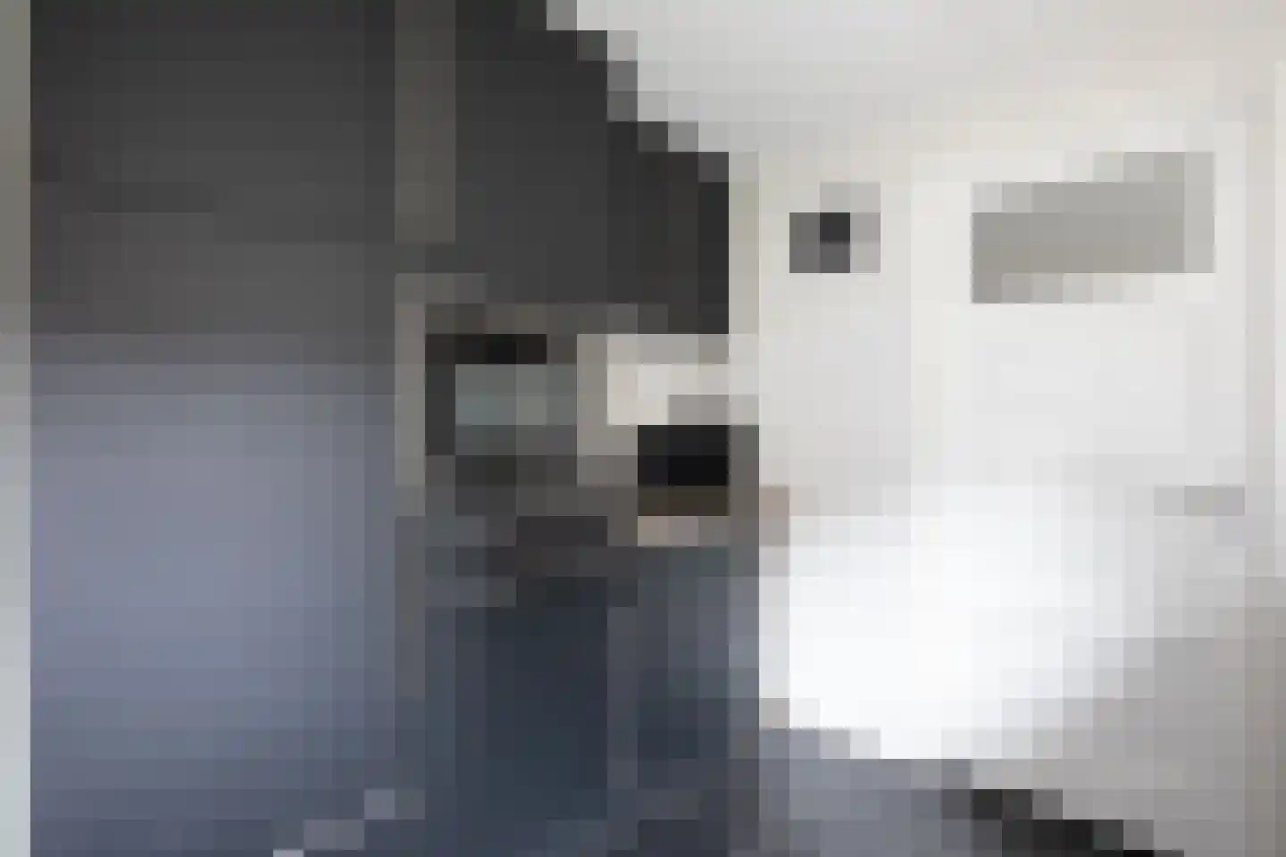 Kastanjelaan 7 Aalsmeer thumbnail 15