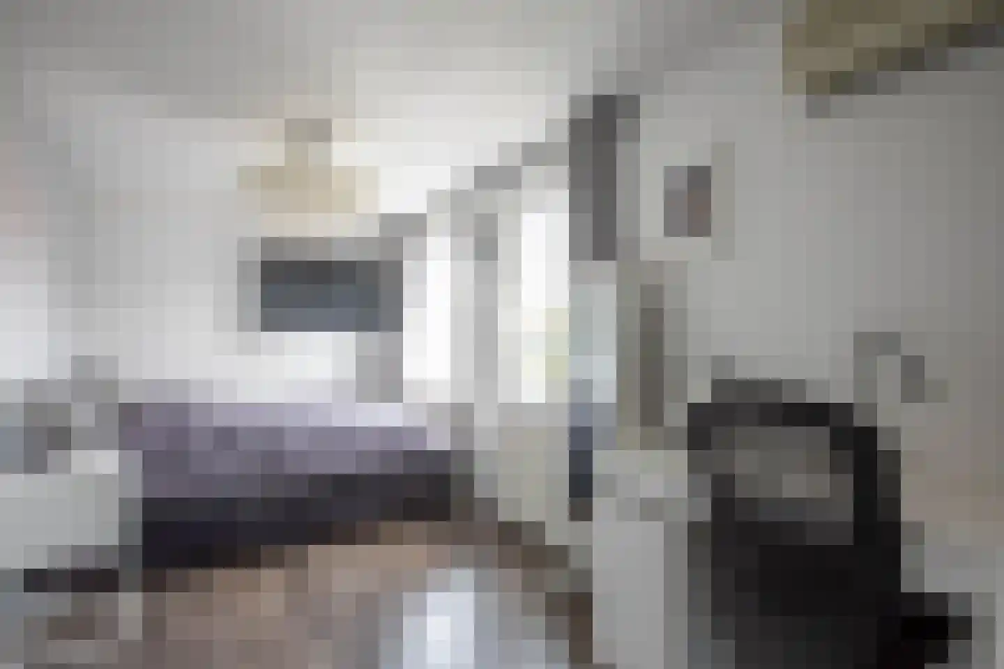 Kastanjelaan 7 Aalsmeer thumbnail 25