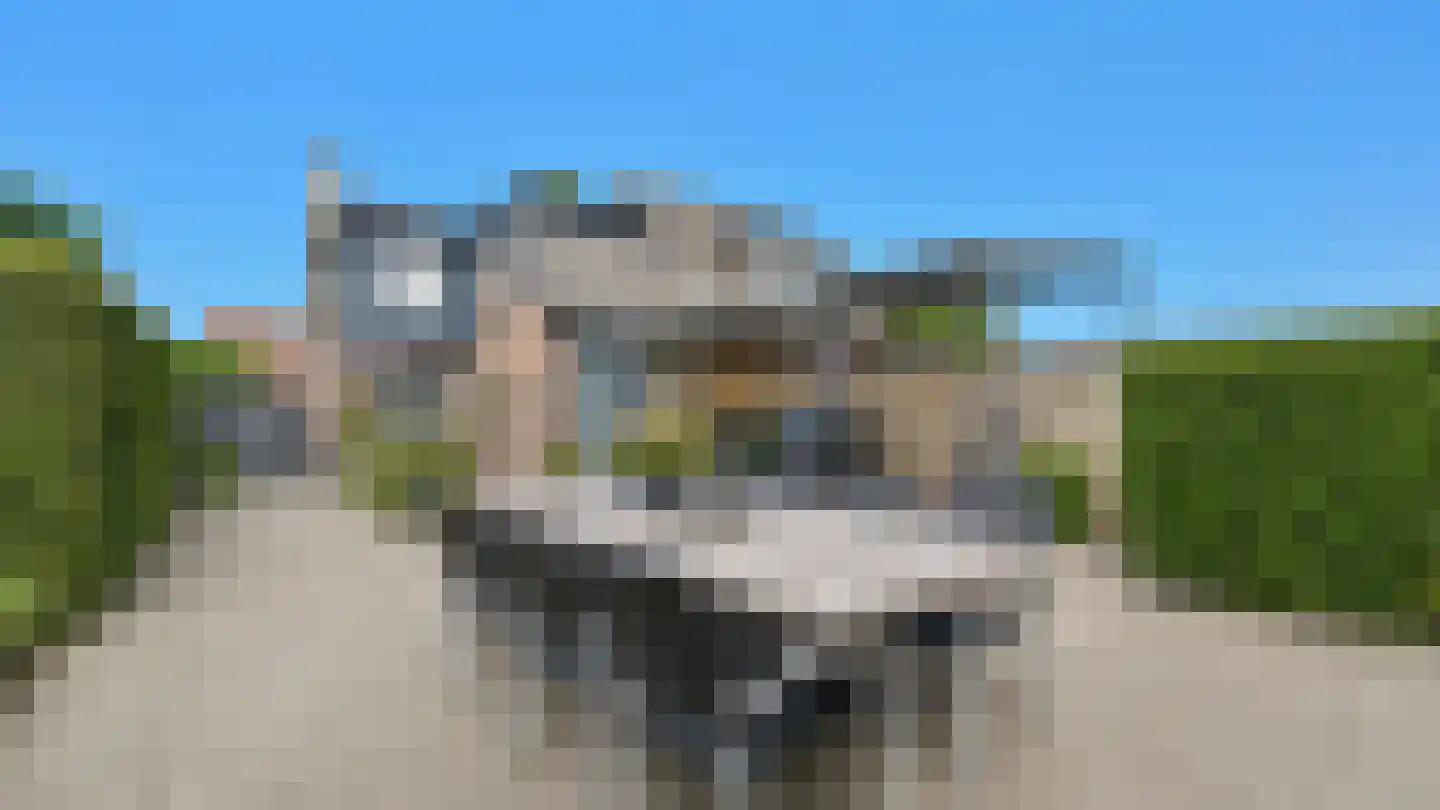 Kastanjelaan 7 Aalsmeer thumbnail 6