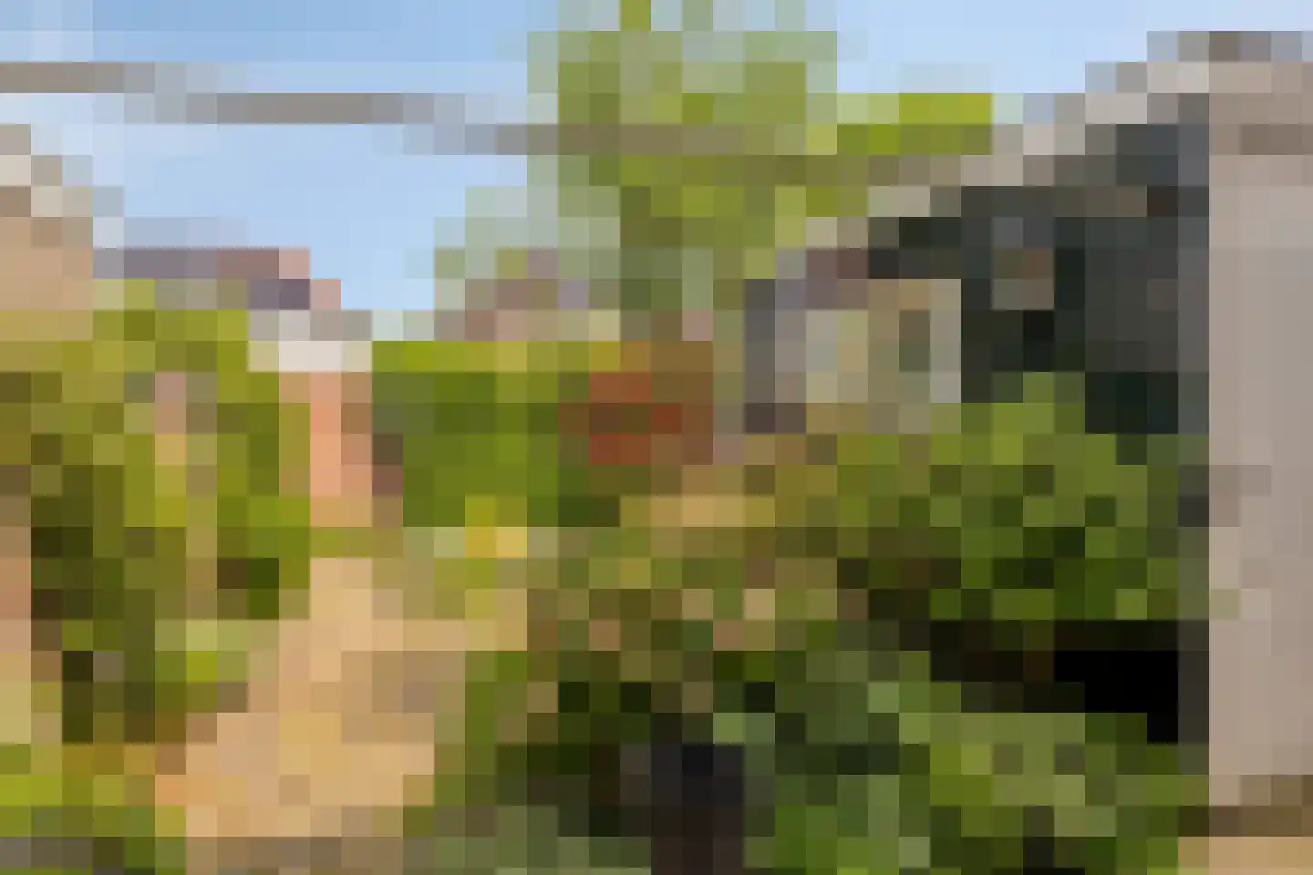 Kastanjelaan 7 Beverwijk thumbnail 21