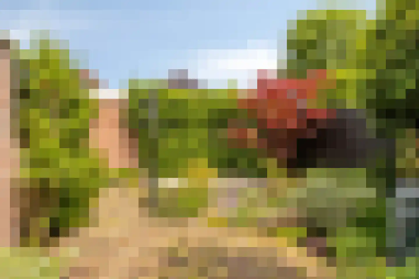 Kastanjelaan 7 Beverwijk thumbnail 23