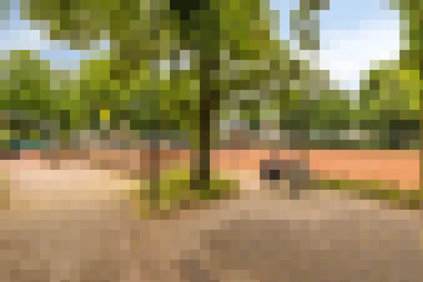 Kastanjelaan 7 Beverwijk thumbnail 30