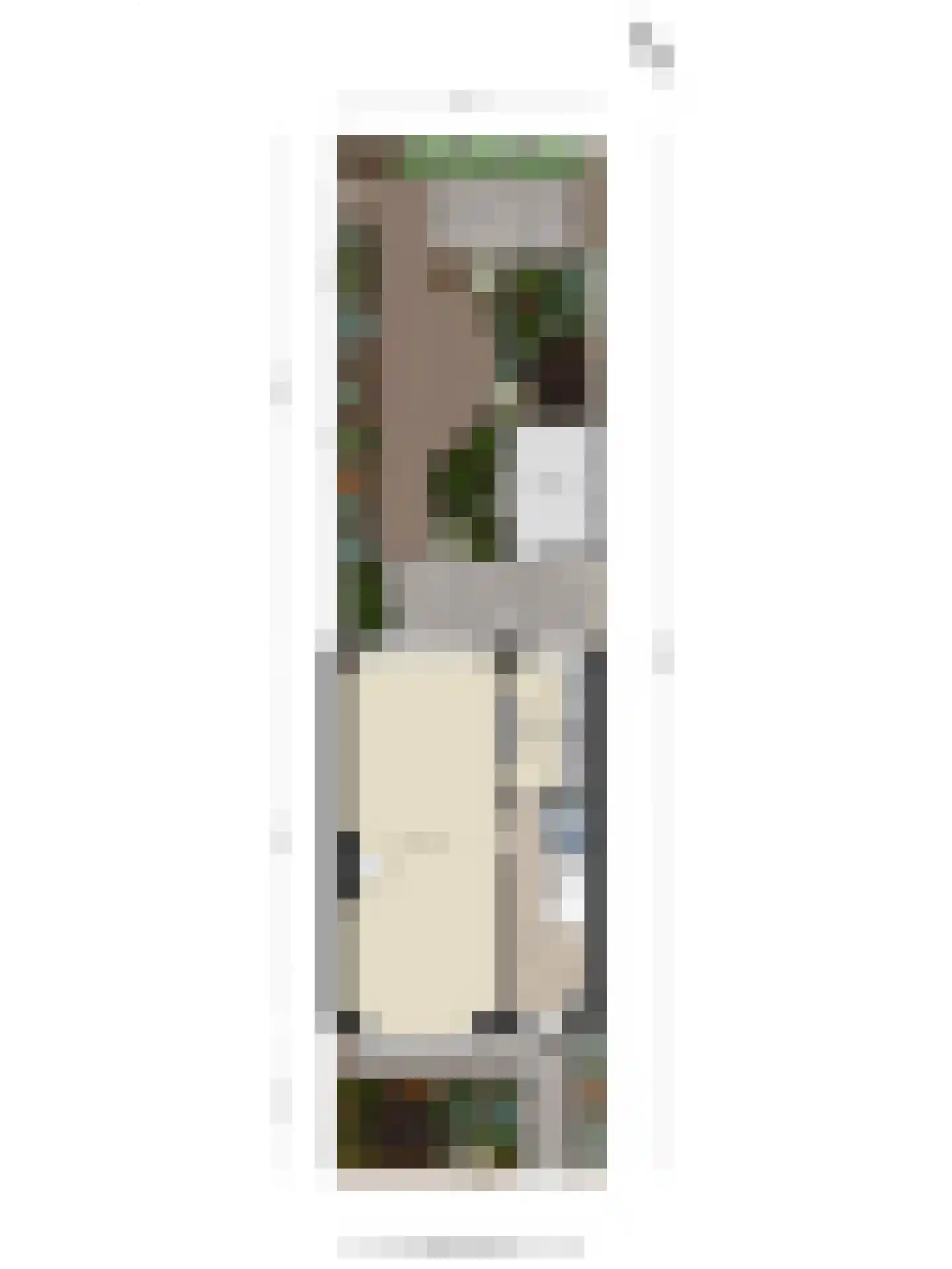 Kastanjelaan 7 Beverwijk thumbnail 33