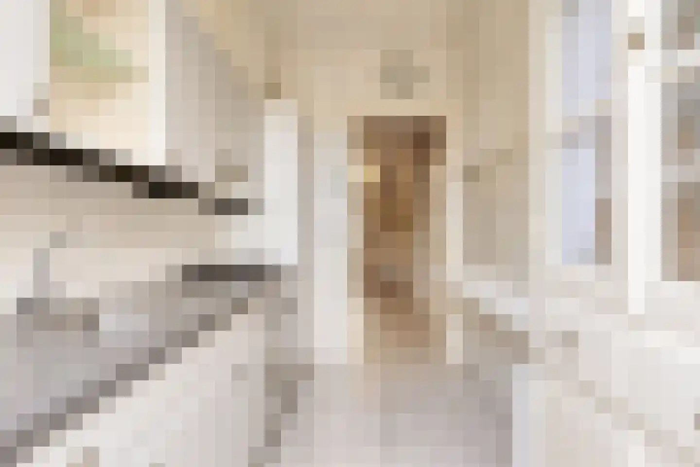 Kastanjelaan 7 Beverwijk thumbnail 9