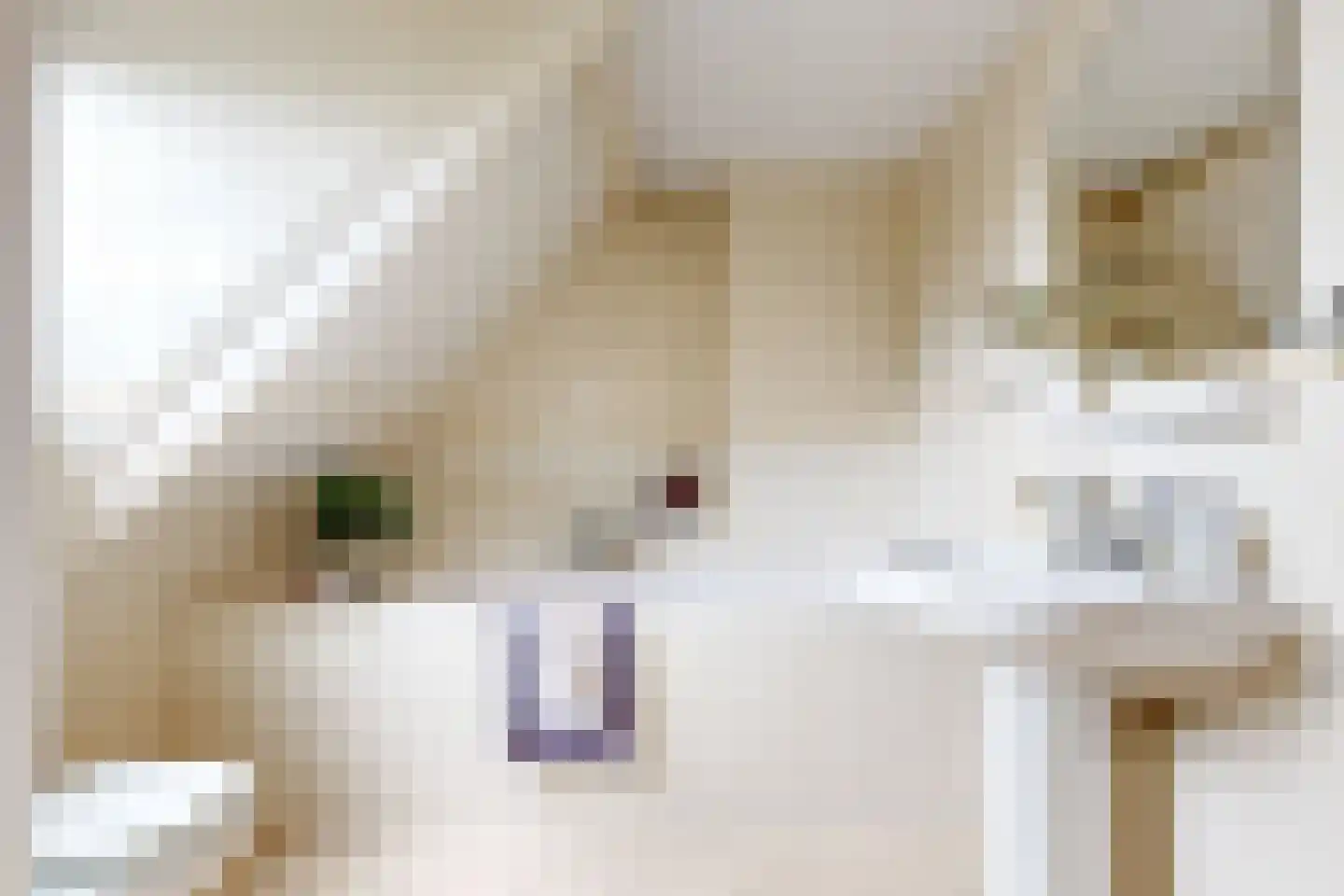 Kastanjelaan 7 Harmelen thumbnail 30